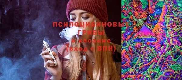шишки Алексин