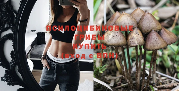 стаф Алексеевка