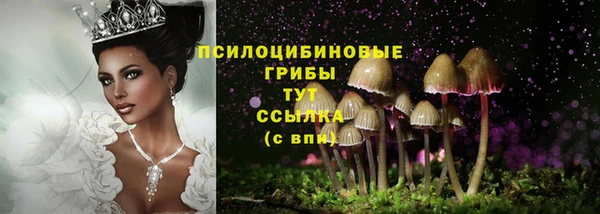 первитин Приозерск
