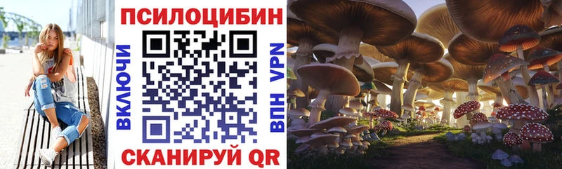 Галлюциногенные грибы Psilocybe darknet формула Тосно купить наркотики сайты