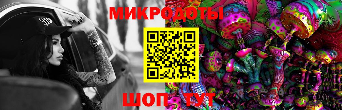 Псилоцибиновые грибы Psilocybine cubensis  Вход с VPN  Тосно 